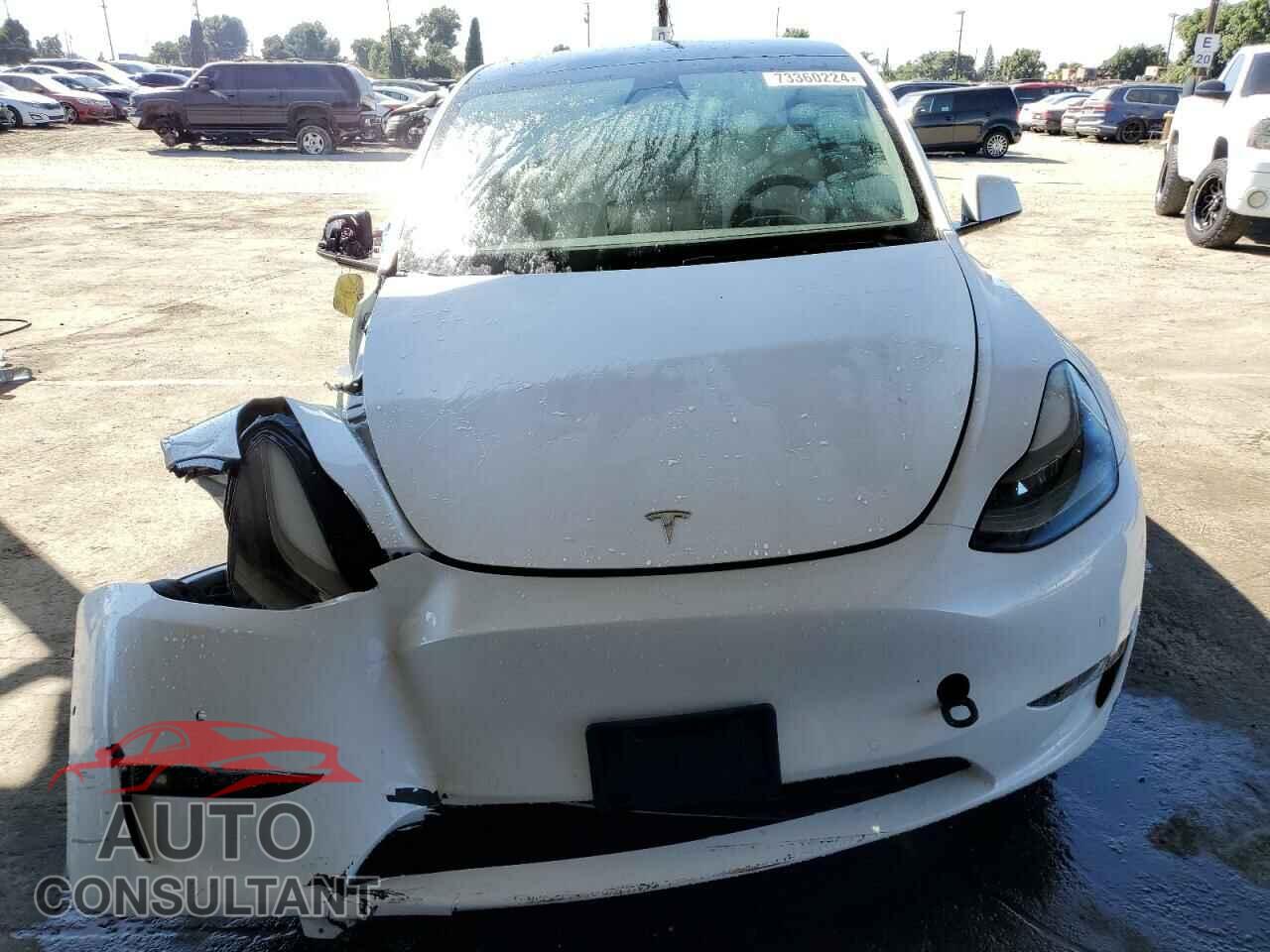TESLA MODEL Y 2022 - 7SAYGDEE2NF558177