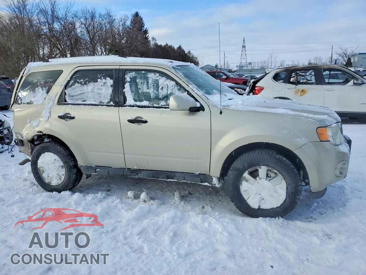 FORD ESCAPE 2011 - 1FMCU9E75BKC07417