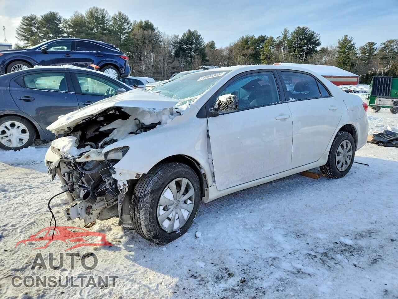 TOYOTA COROLLA 2011 - 2T1BU4EE6BC555956