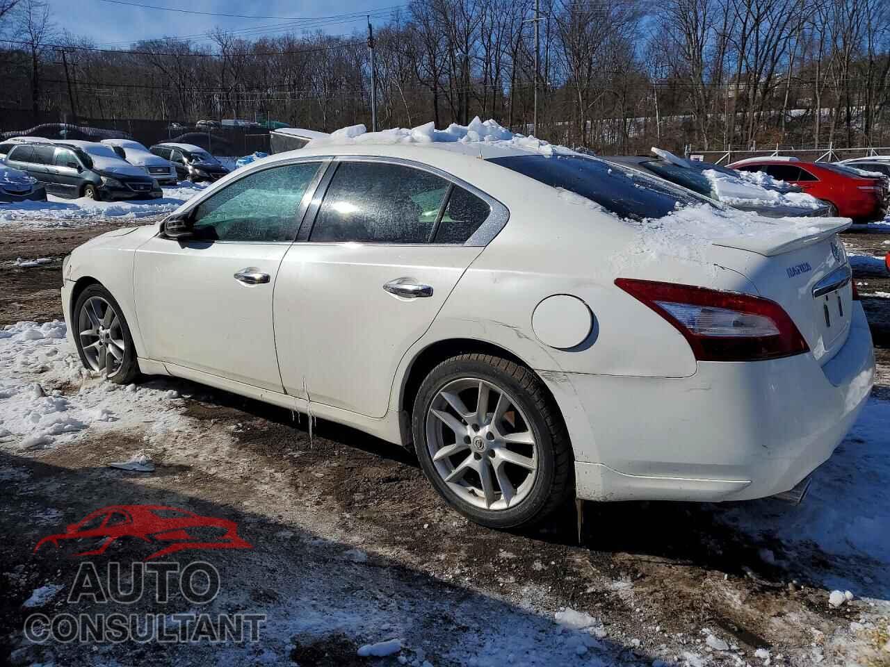 NISSAN MAXIMA 2010 - 1N4AA5AP5AC854725