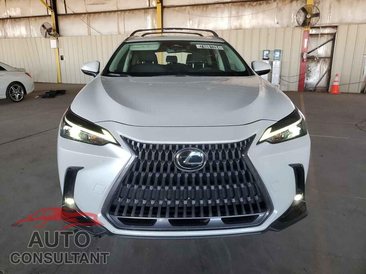 LEXUS NX 350H BA 2024 - 2T2AKCEZ1RC028024