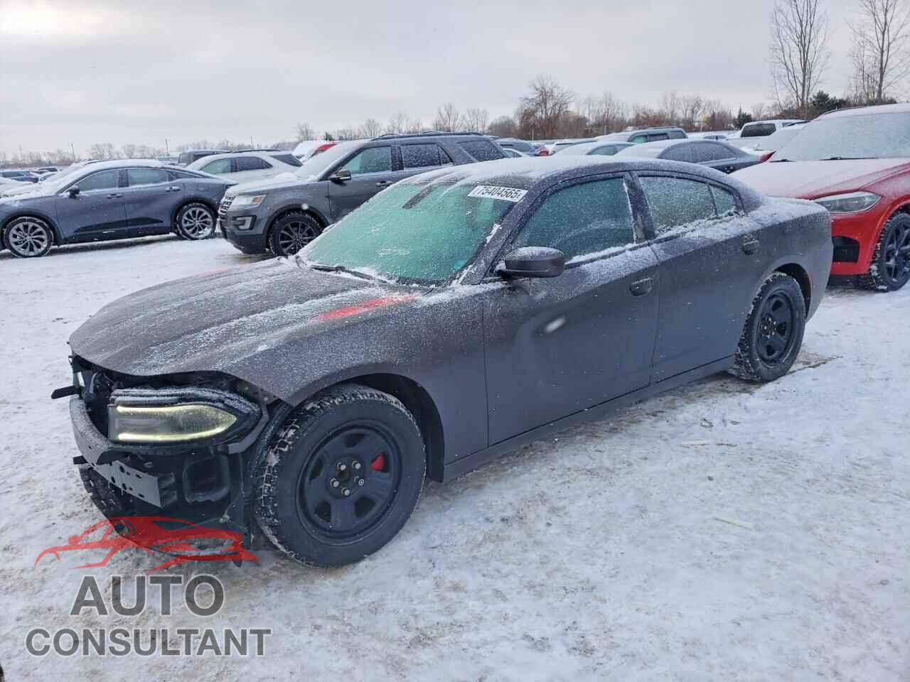 DODGE CHARGER 2015 - 2C3CDXHG8FH790958