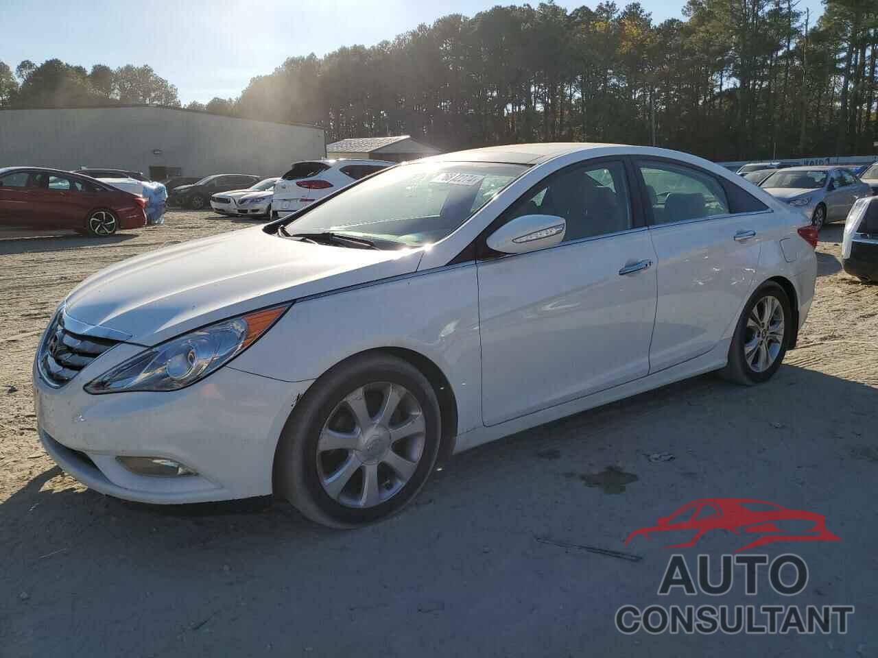 HYUNDAI SONATA 2013 - 5NPEC4AC7DH596472