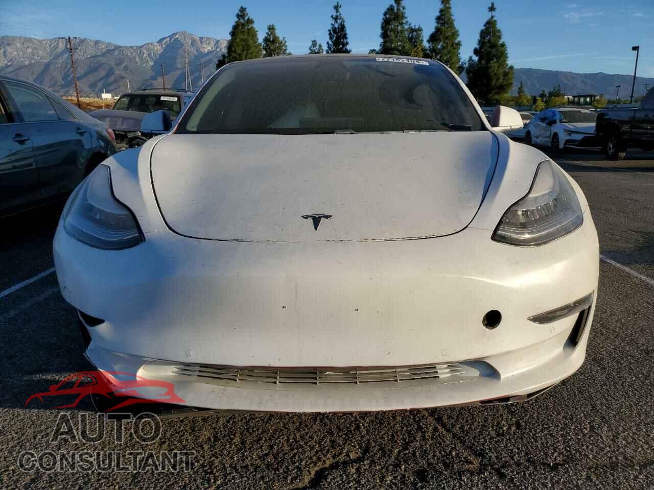 TESLA MODEL 3 2020 - 5YJ3E1EA0LF703593