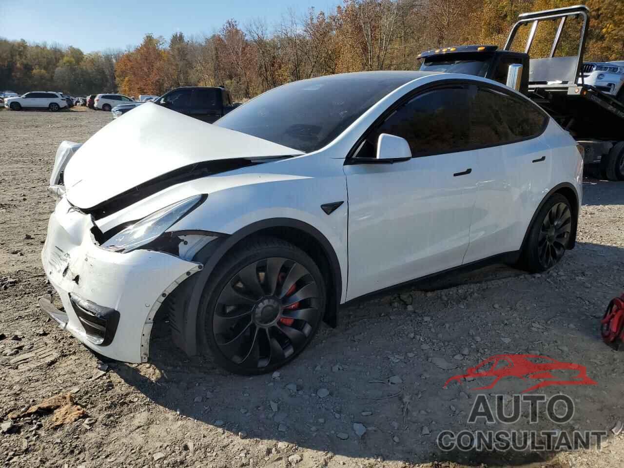 TESLA MODEL Y 2021 - 5YJYGDEE6MF115378