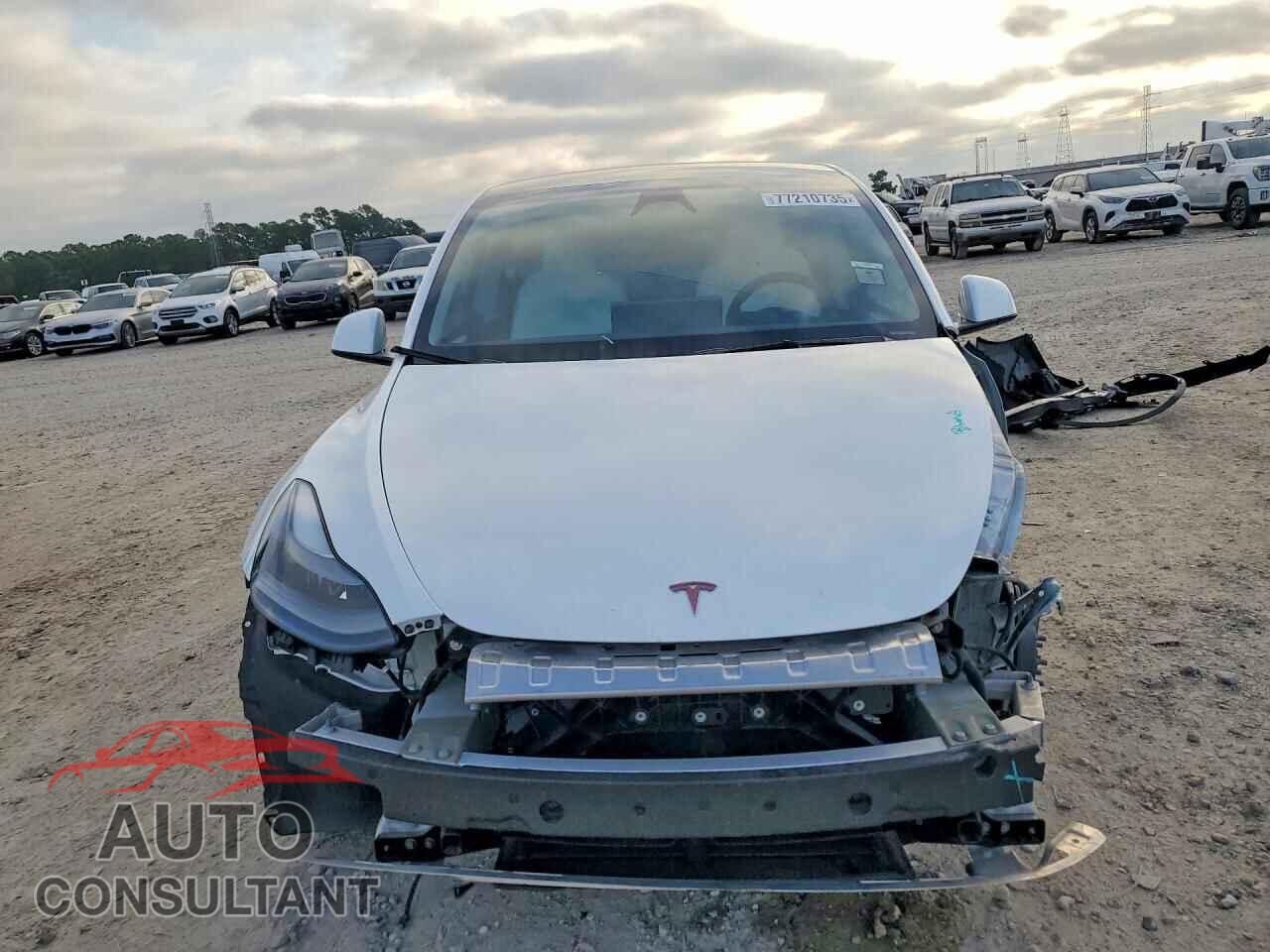 TESLA MODEL Y 2024 - 7SAYGAEE4RF064925