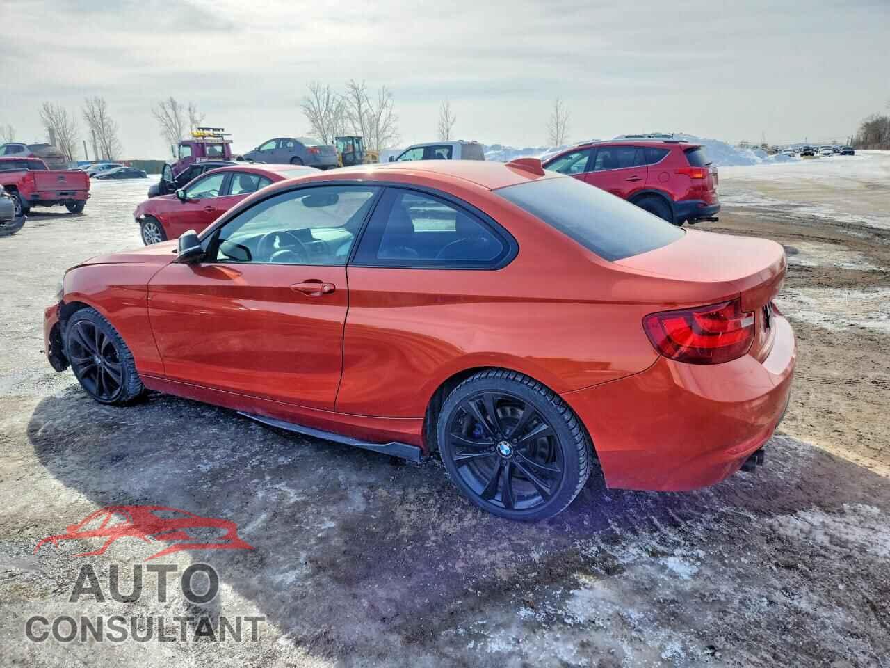 BMW 2 SERIES 2014 - WBA1F5C58EV255767