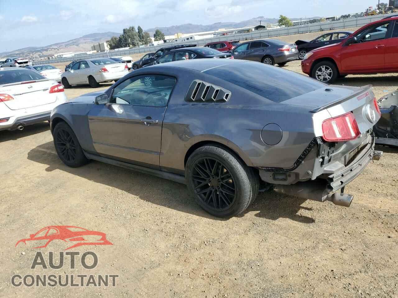 FORD MUSTANG 2011 - 1ZVBP8CF7B5145624