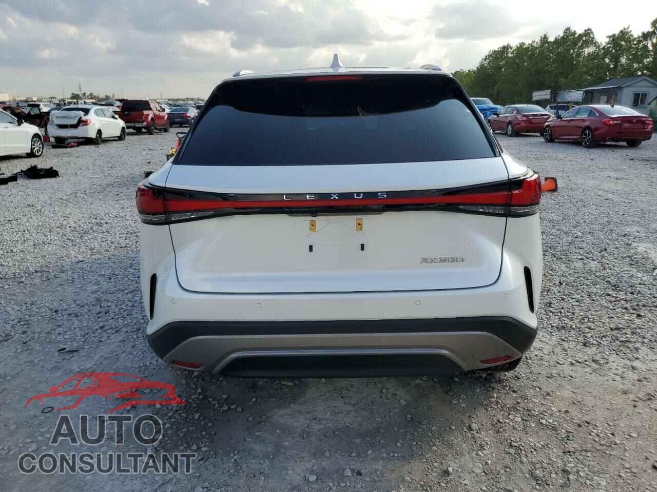 LEXUS RX350 2023 - 2T2BAMBA3PC006048