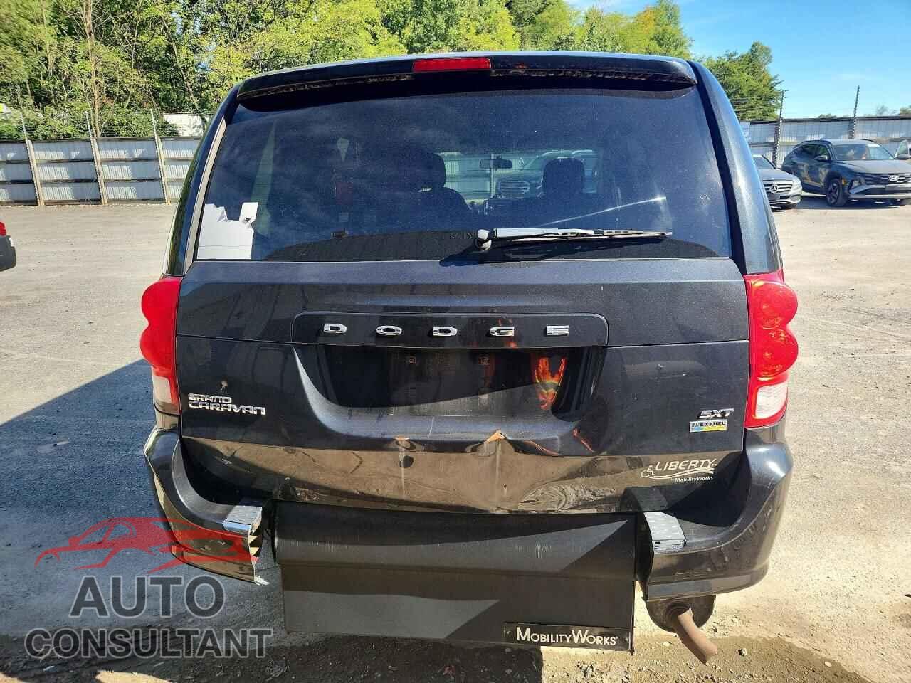 DODGE CARAVAN 2014 - 2C4RDGCG2ER206155