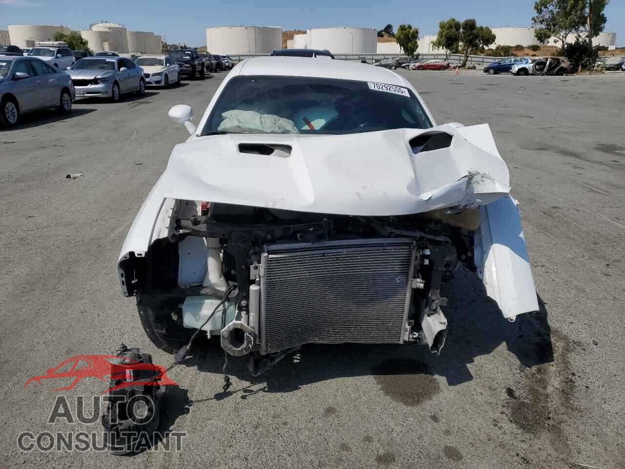 DODGE CHALLENGER 2019 - 2C3CDZAG0KH727725