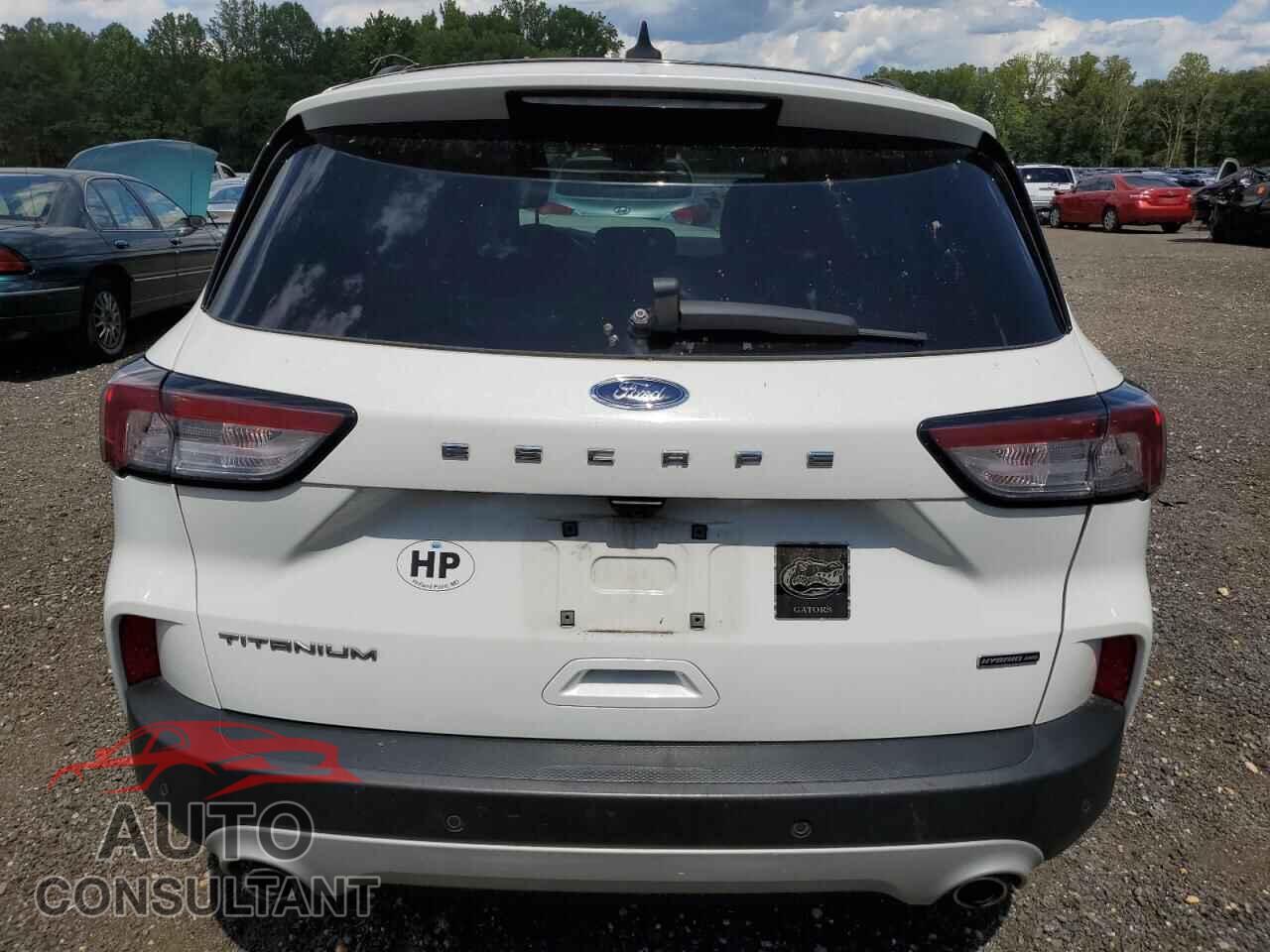 FORD ESCAPE 2020 - 1FMCU9DZ5LUA94612