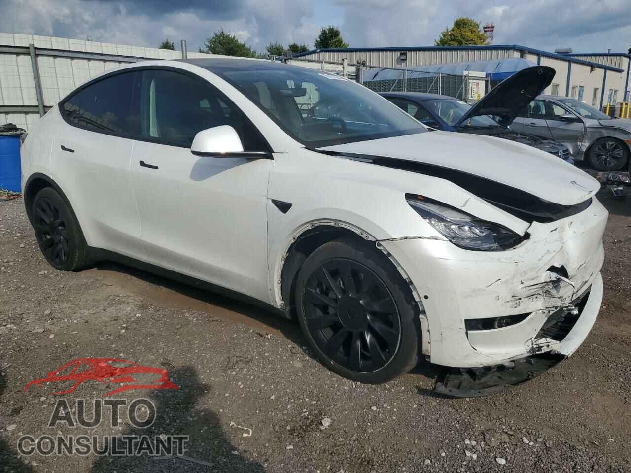 TESLA MODEL Y 2021 - 5YJYGDEE1MF071385