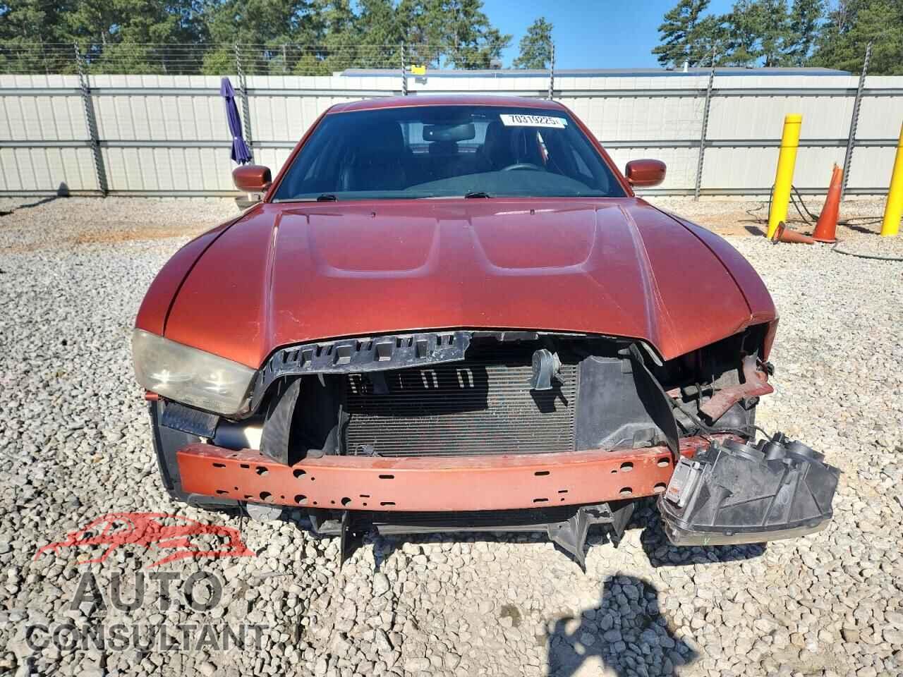 DODGE CHARGER 2013 - 2C3CDXCT5DH570629
