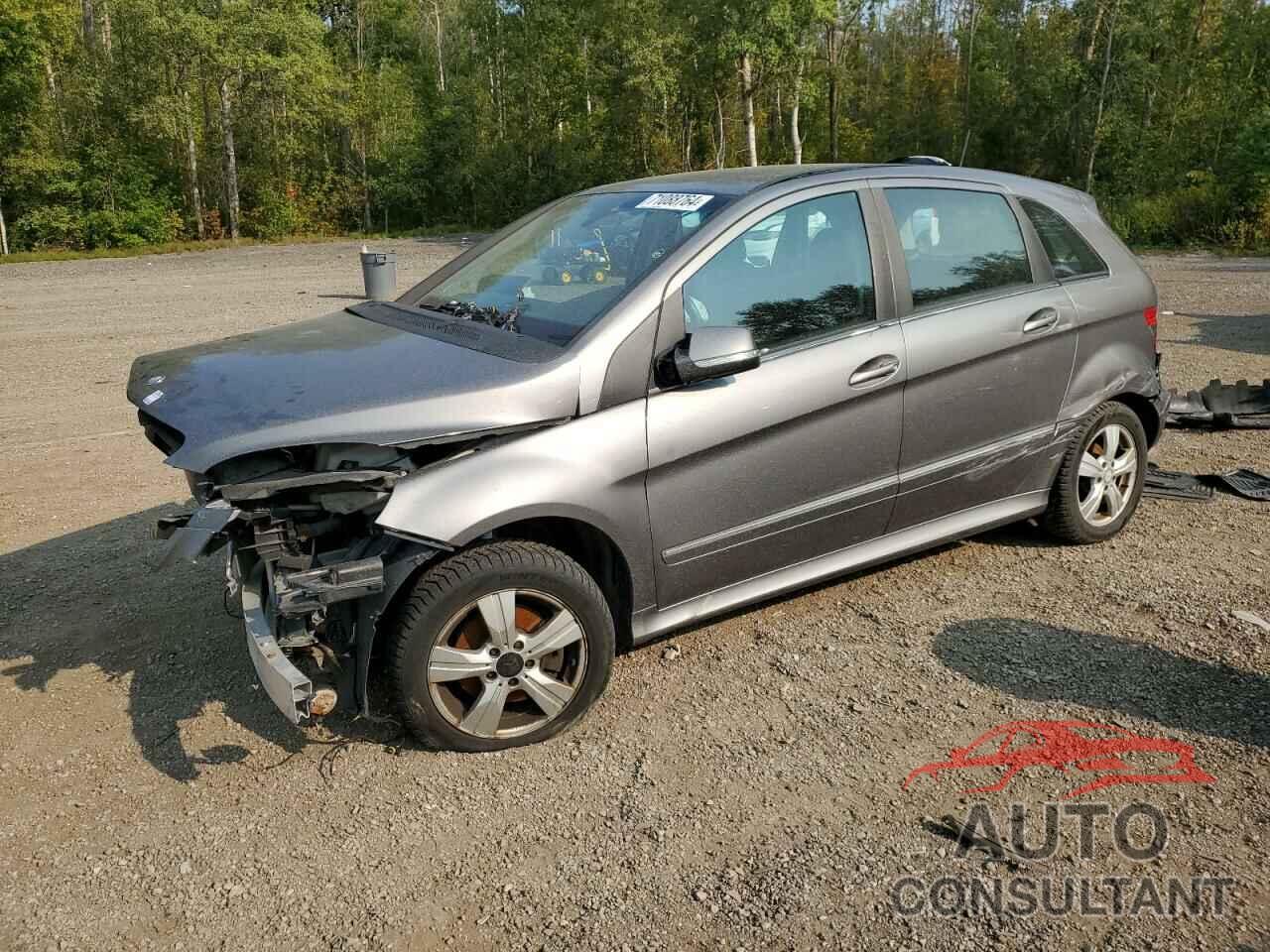 MERCEDES-BENZ B-CLASS 2011 - WDDFH3DB6BJ611122