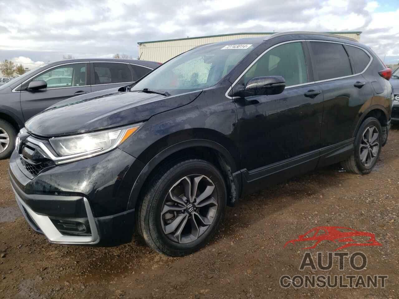 HONDA CRV 2020 - 2HKRW2H89LH230803
