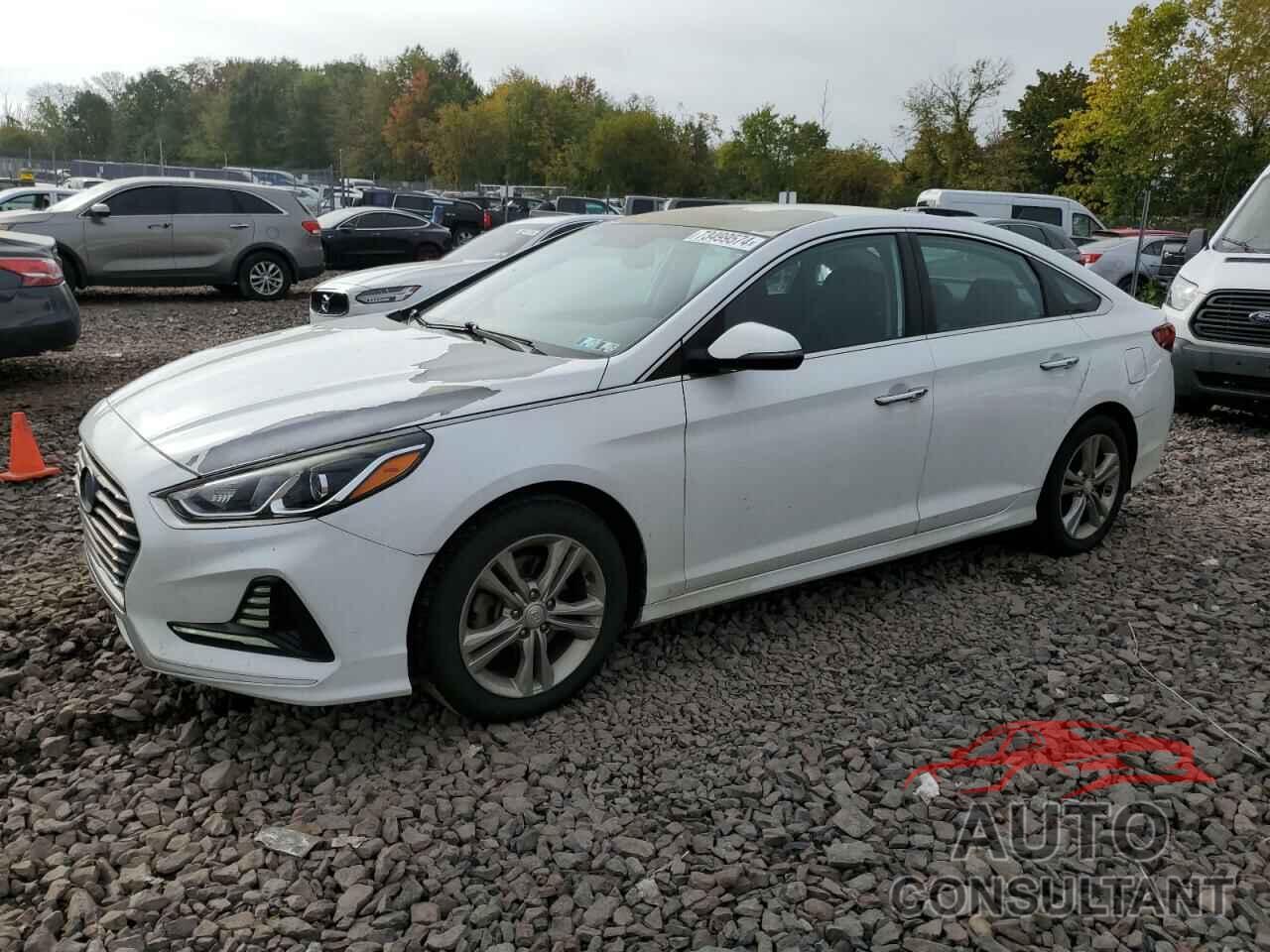 HYUNDAI SONATA 2018 - 5NPE34AF3JH619557