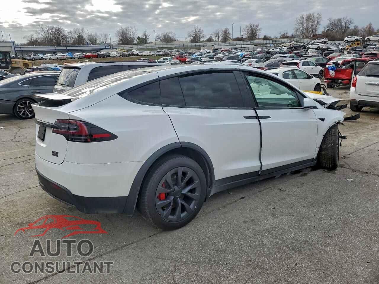 TESLA MODEL X 2024 - 7SAXCBE62RF438633
