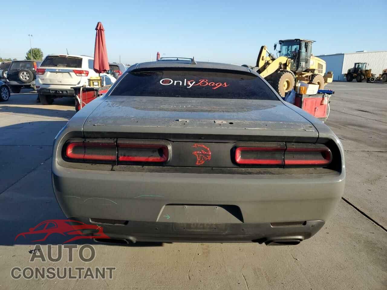 DODGE CHALLENGER 2019 - 2C3CDZC96KH508444