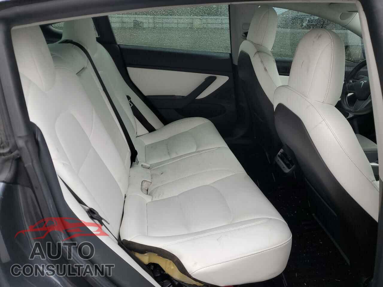 TESLA MODEL 3 2019 - 5YJ3E1EA0KF302379