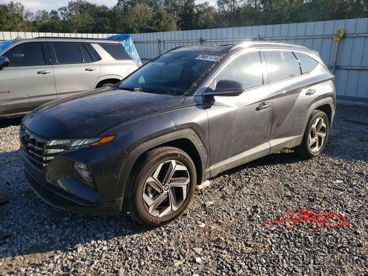 HYUNDAI TUCSON 2024 - 5NMJECDEXRH295716