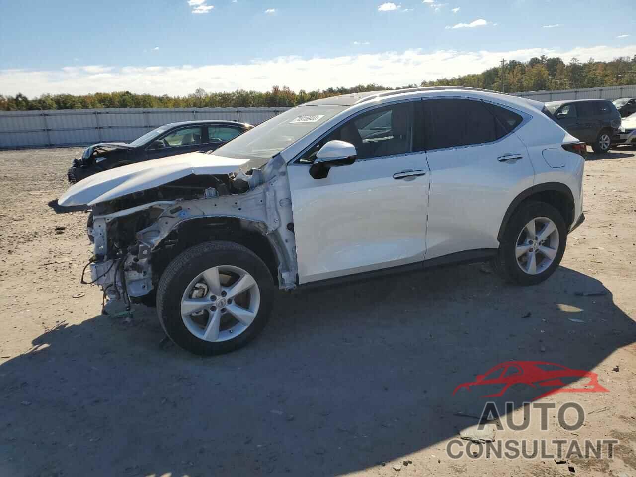 LEXUS NX 350 LUX 2024 - JTJHGCEZ2R2018411
