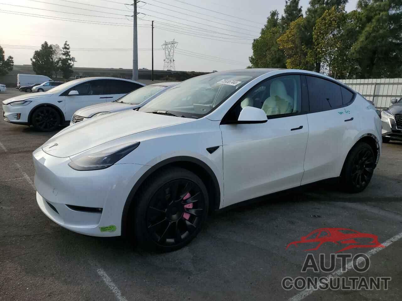 TESLA MODEL Y 2023 - 7SAYGDEEXPF853840