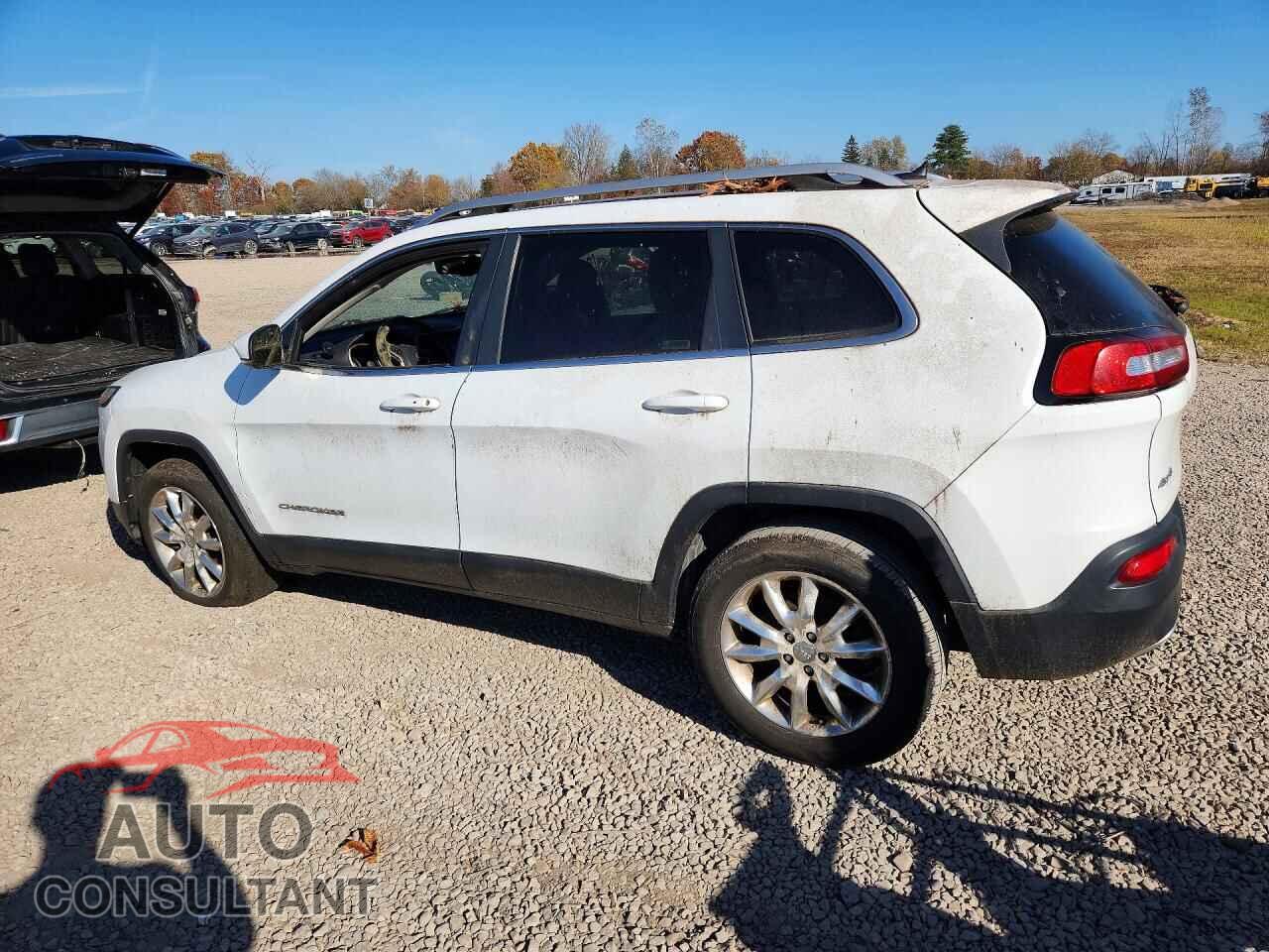JEEP CHEROKEE 2014 - 1C4PJMDS0EW197318
