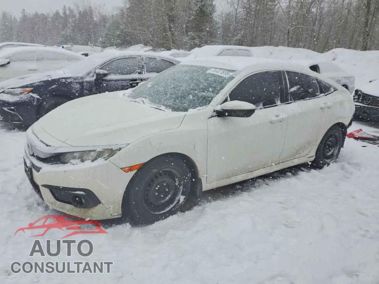 HONDA CIVIC 2016 - 2HGFC1F49GH106312