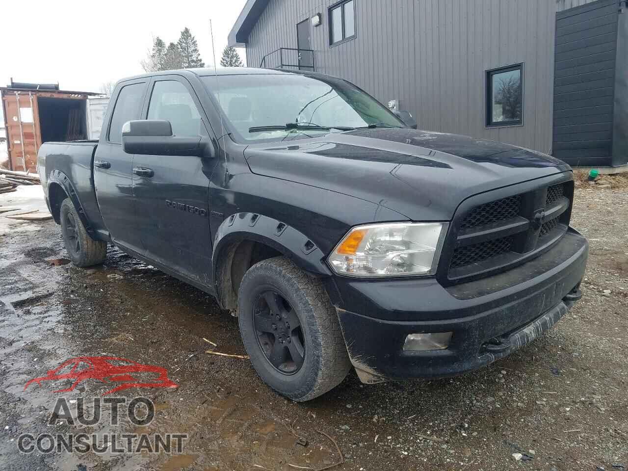 DODGE All Models 2011 - 1D7RV1GT4BS546716