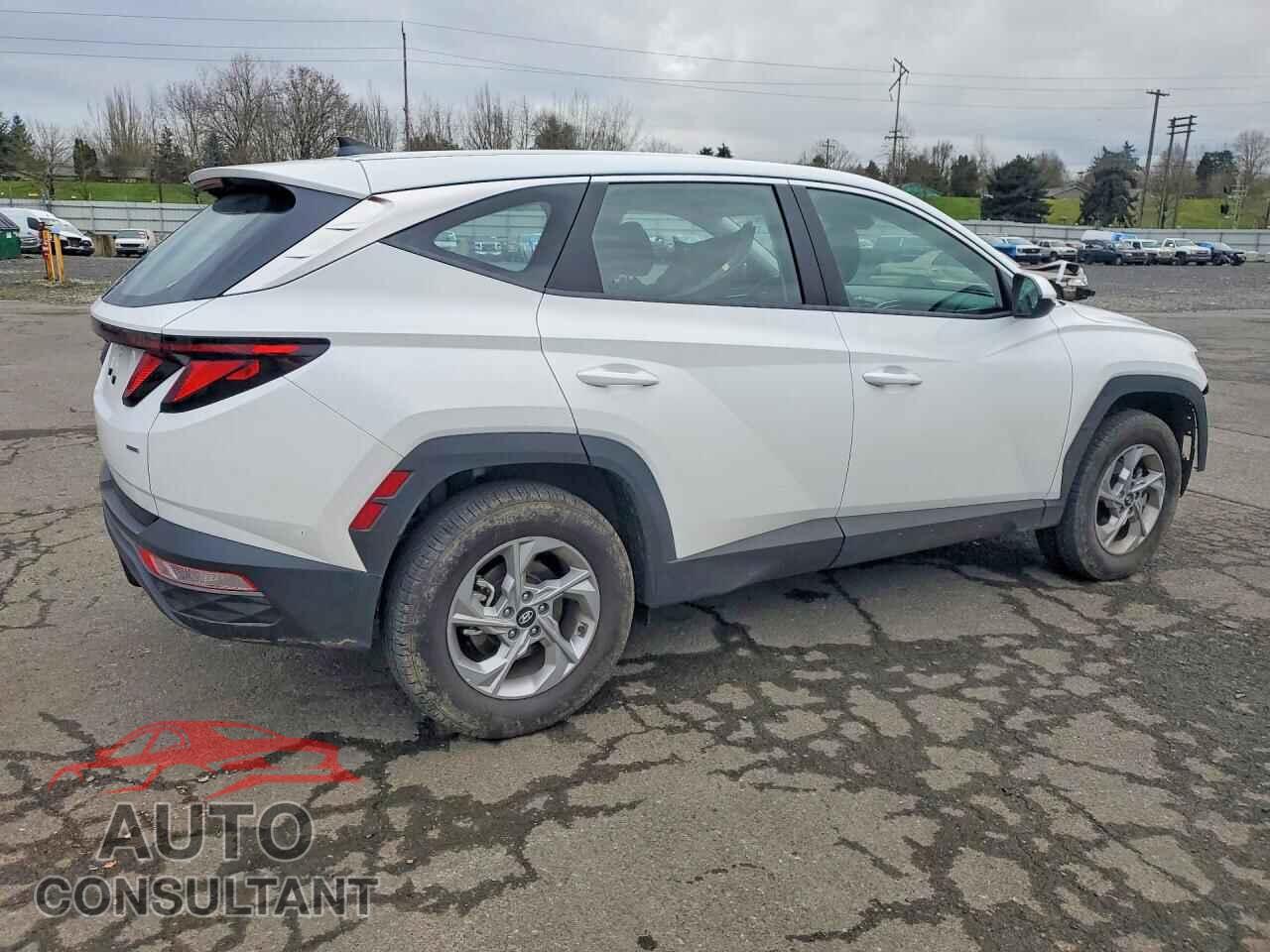 HYUNDAI TUCSON 2024 - 5NMJACDE9RH395995