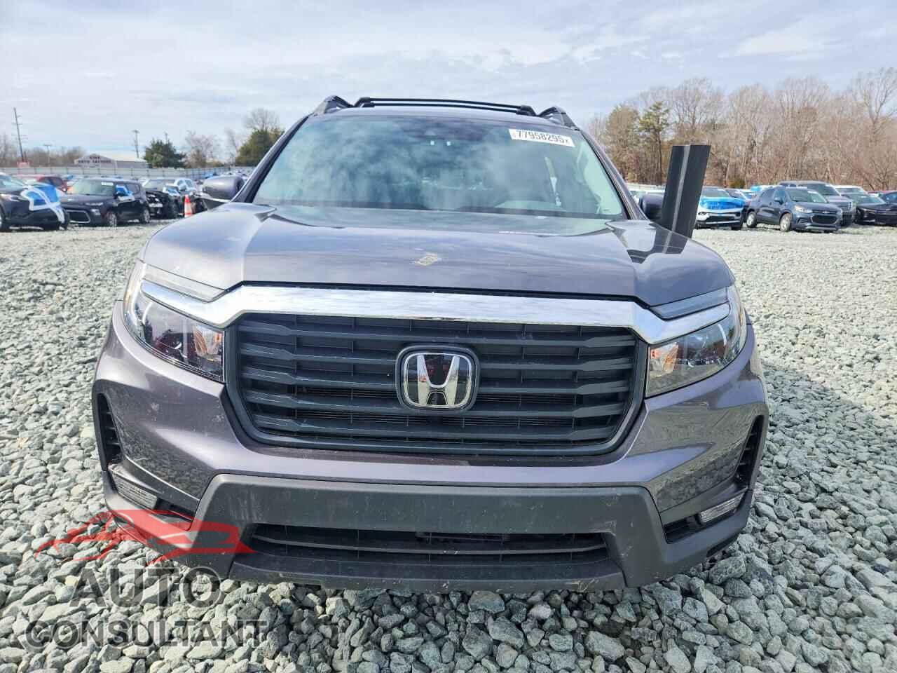 HONDA RIDGELINE 2023 - 5FPYK3F55PB058965