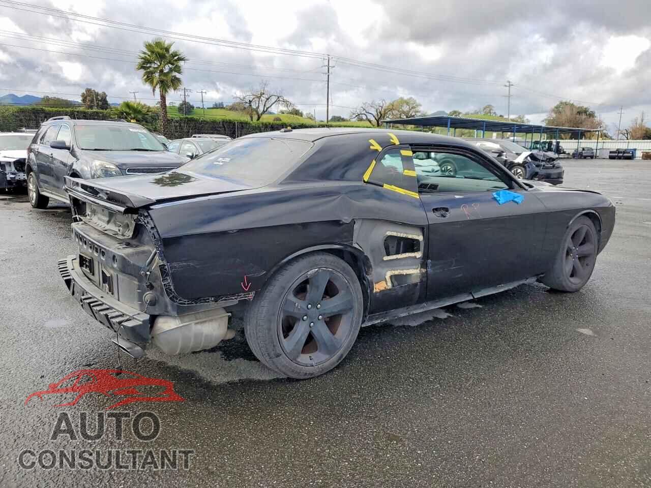 DODGE CHALLENGER 2013 - 2C3CDYAG8DH649305