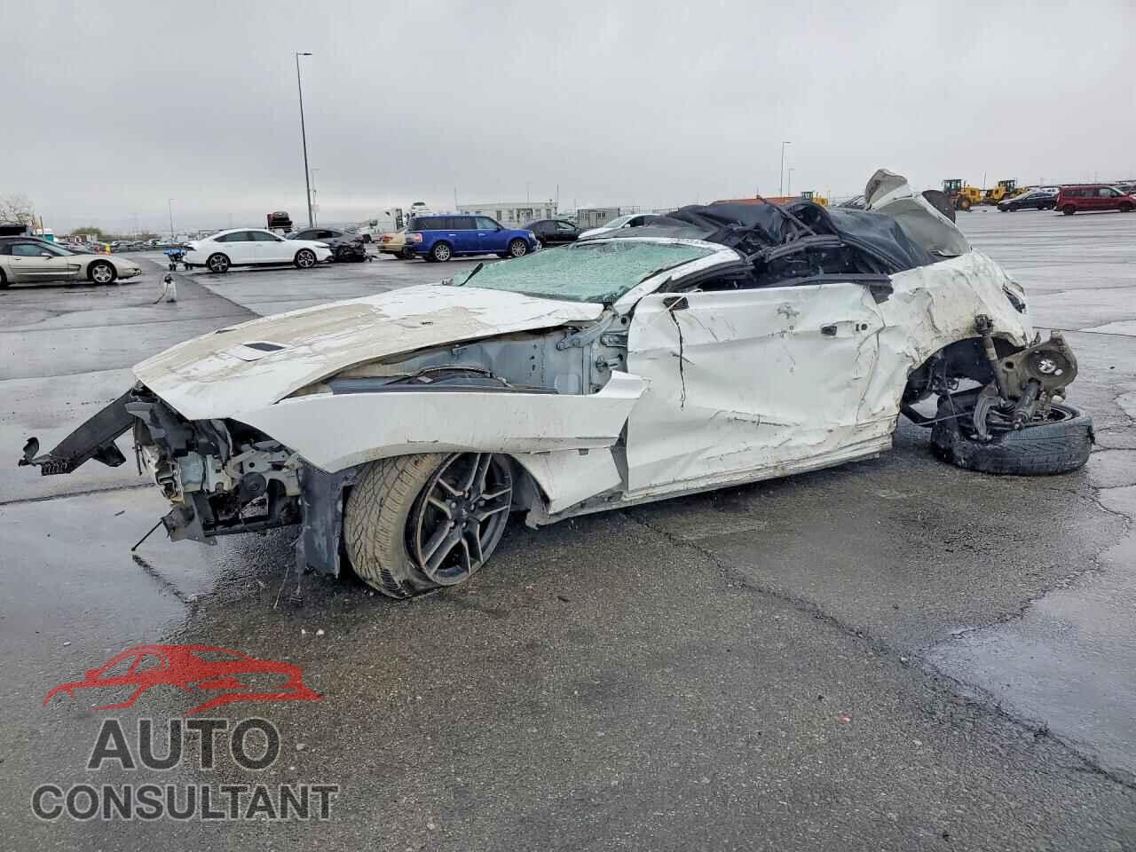 FORD ALL Models 2019 - 1FATP8UH6K5170995
