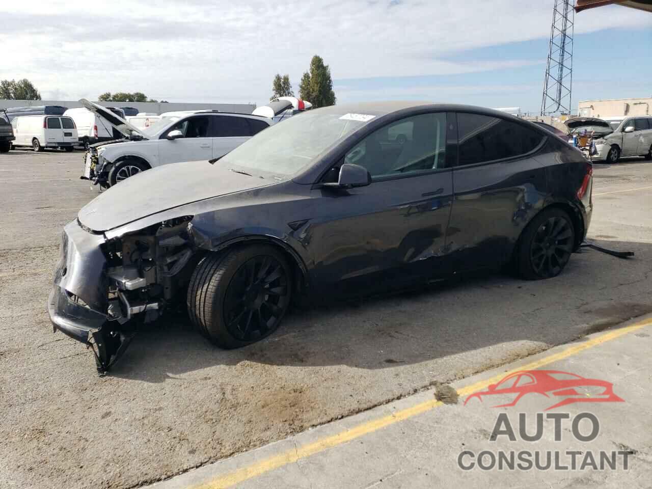 TESLA MODEL Y 2024 - 7SAYGDEE0RF118383