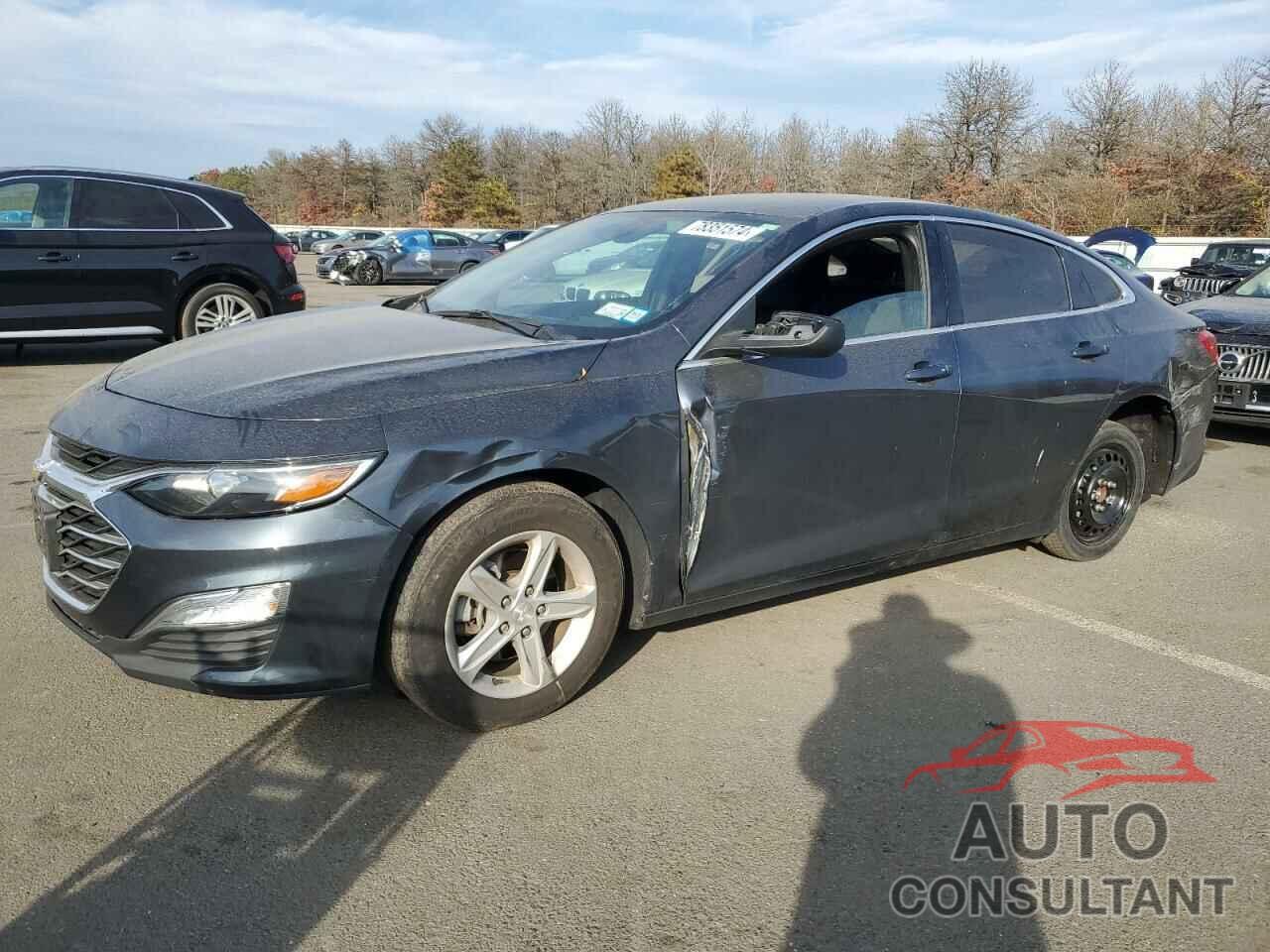 CHEVROLET MALIBU 2019 - 1G1ZB5ST4KF194787