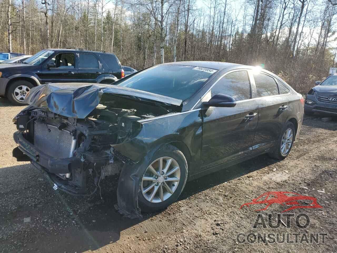 HYUNDAI SONATA 2018 - 5NPE24AF4JH616170