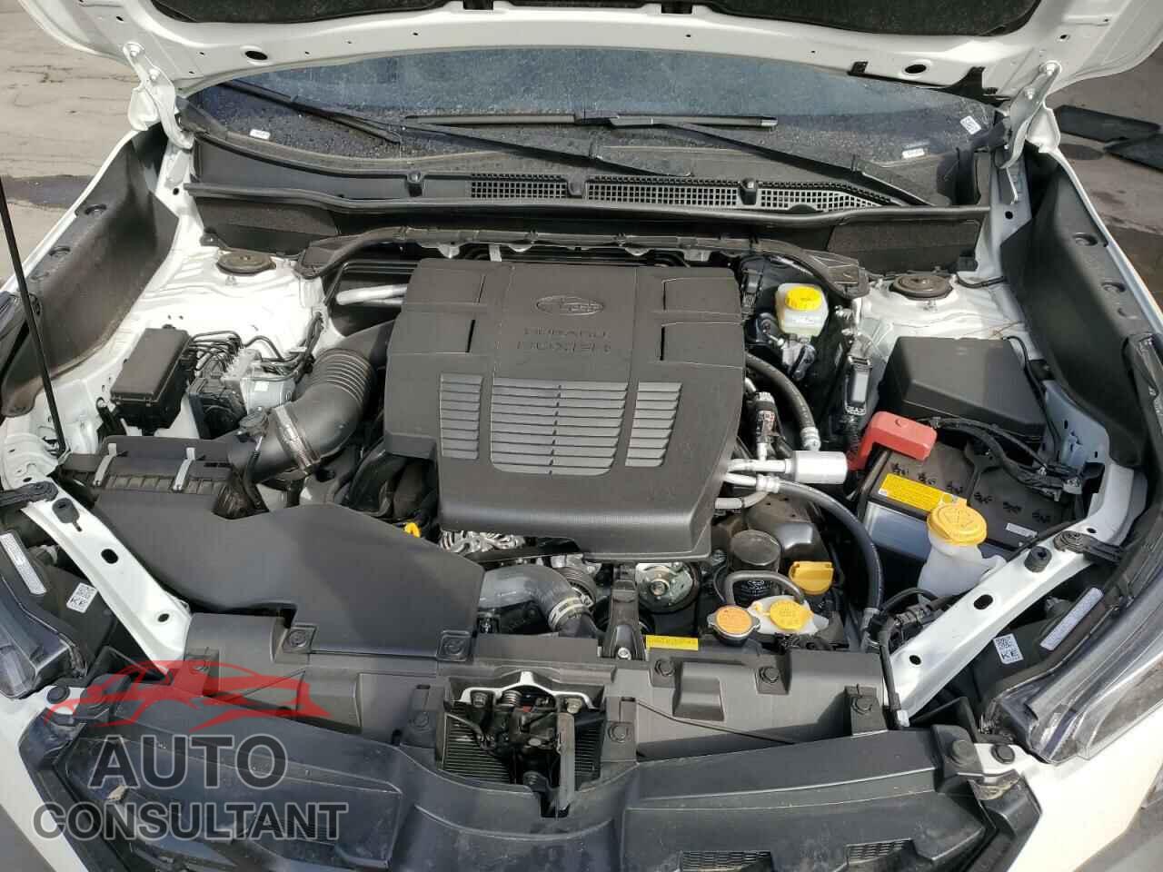 SUBARU FORESTER 2024 - JF2SKAJC7RH519547