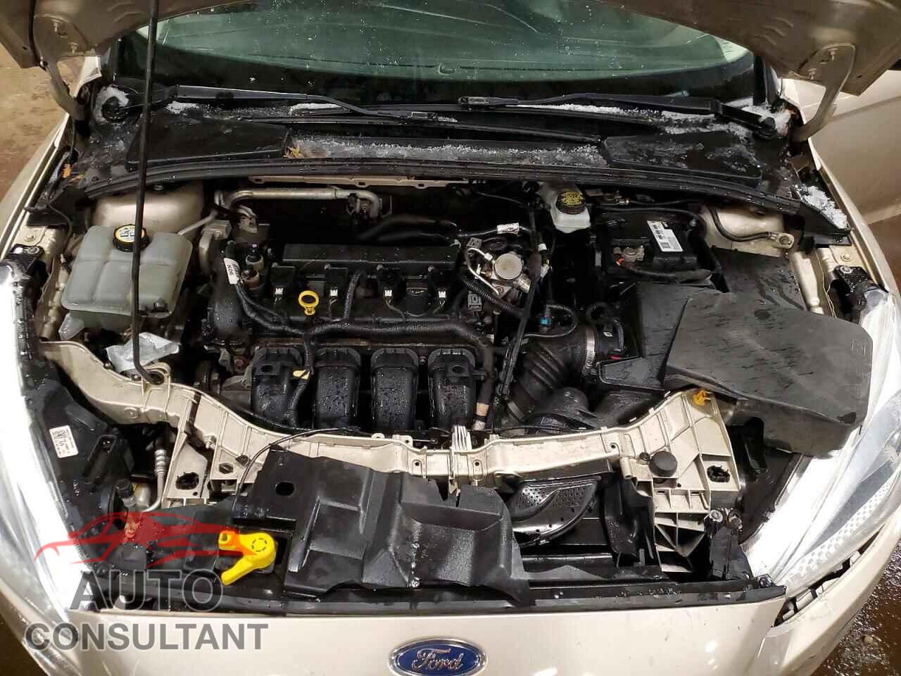 FORD FOCUS 2017 - 1FADP3F20HL291316