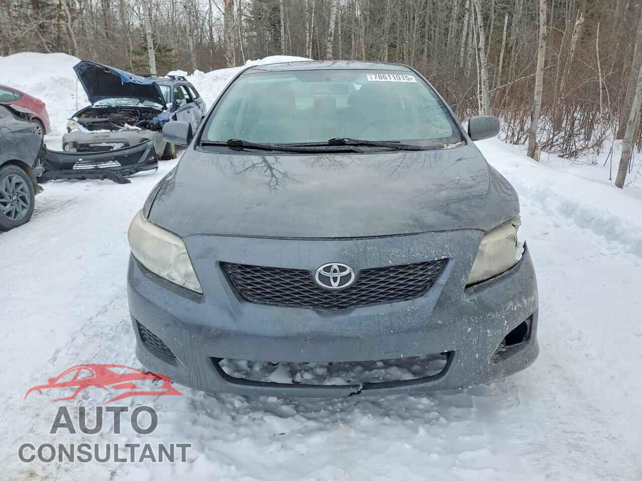 TOYOTA COROLLA 2010 - 2T1BU4EEXAC494822