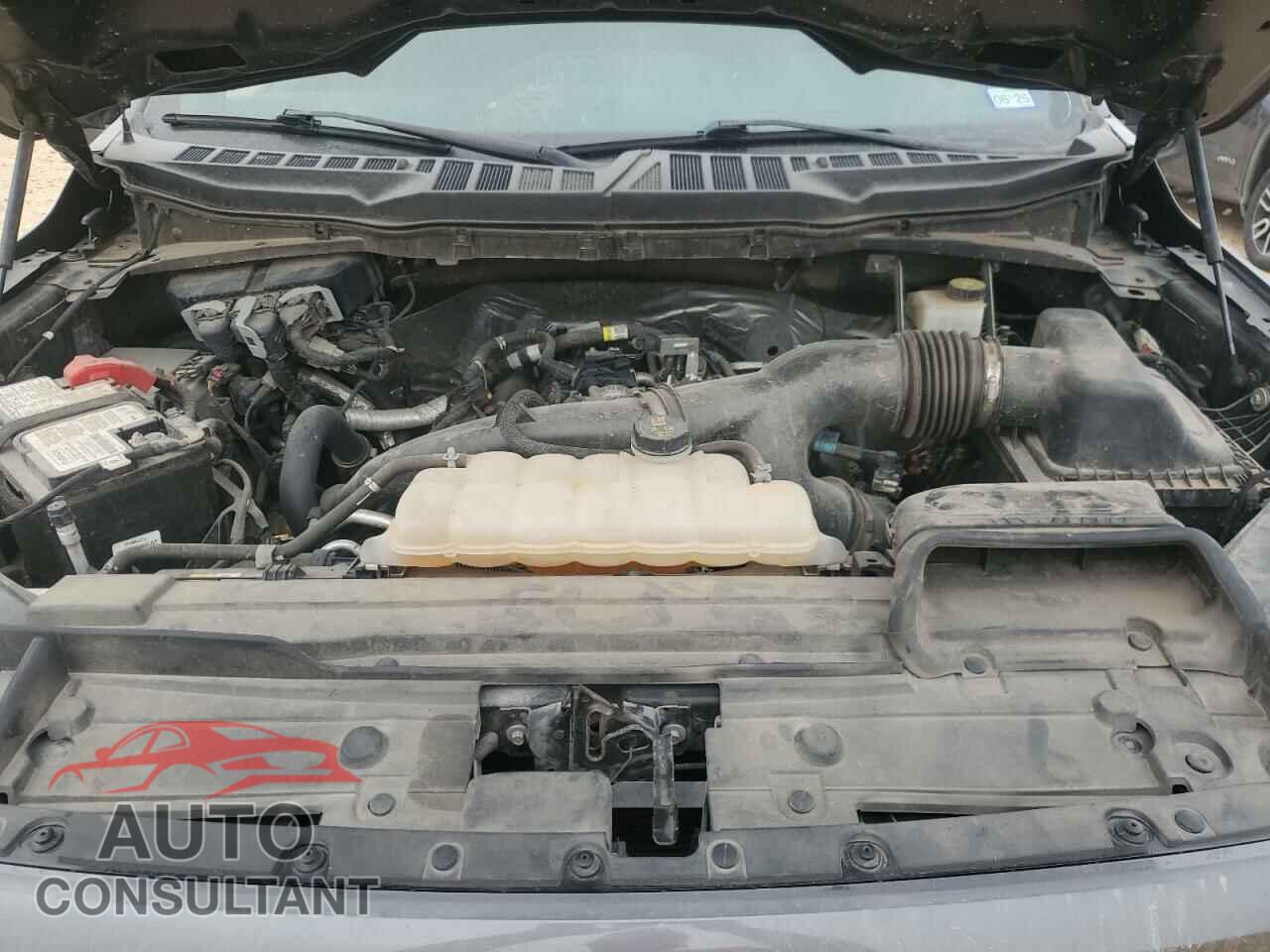 FORD F-150 2021 - 1FTEW1EP2MFA89962