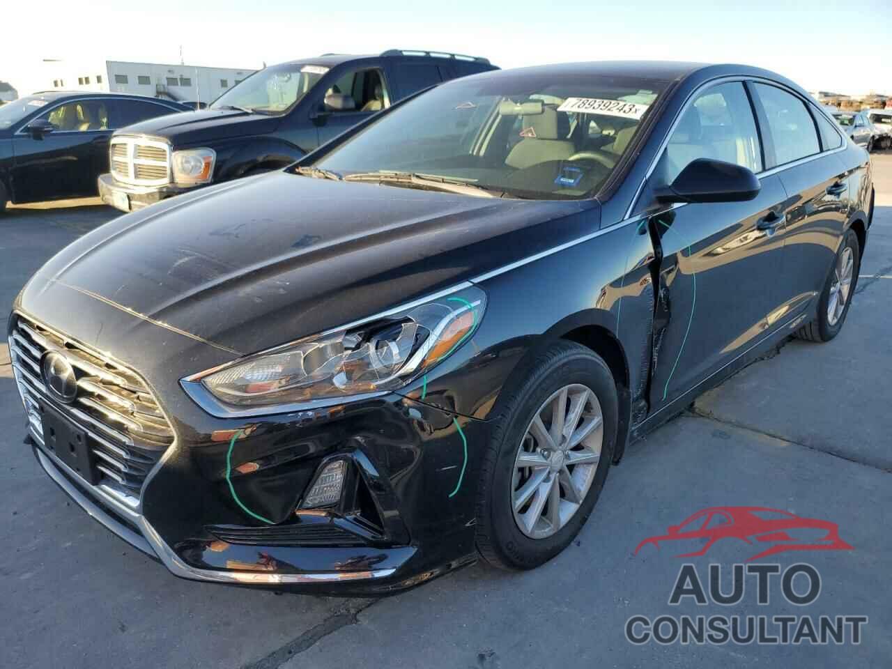 HYUNDAI SONATA 2019 - 5NPE24AF2KH808737