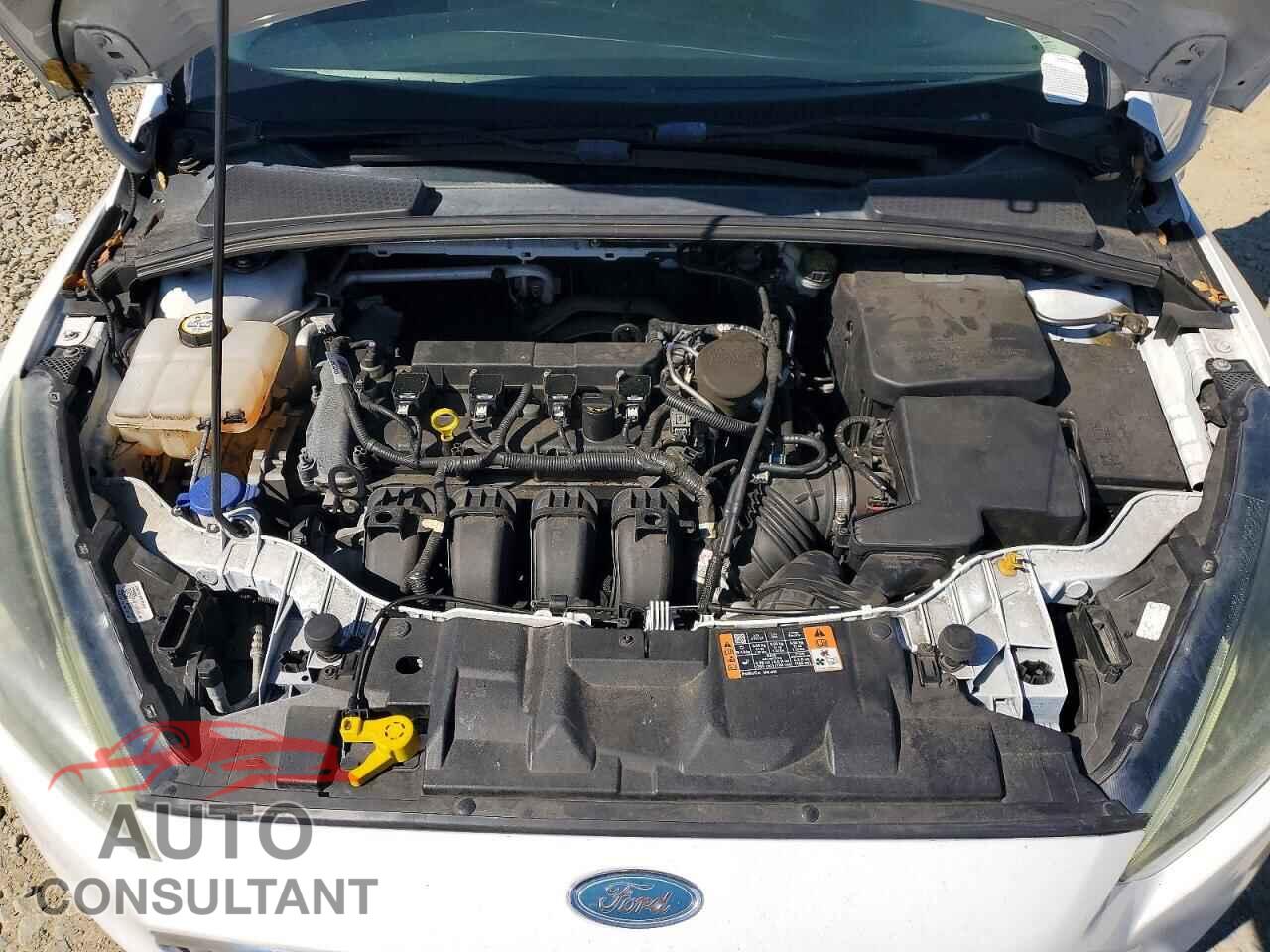 FORD FOCUS 2015 - 1FADP3K25FL314995