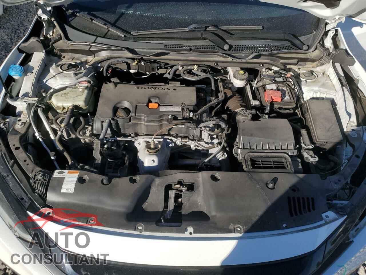 HONDA CIVIC 2019 - 2HGFC2F63KH566355