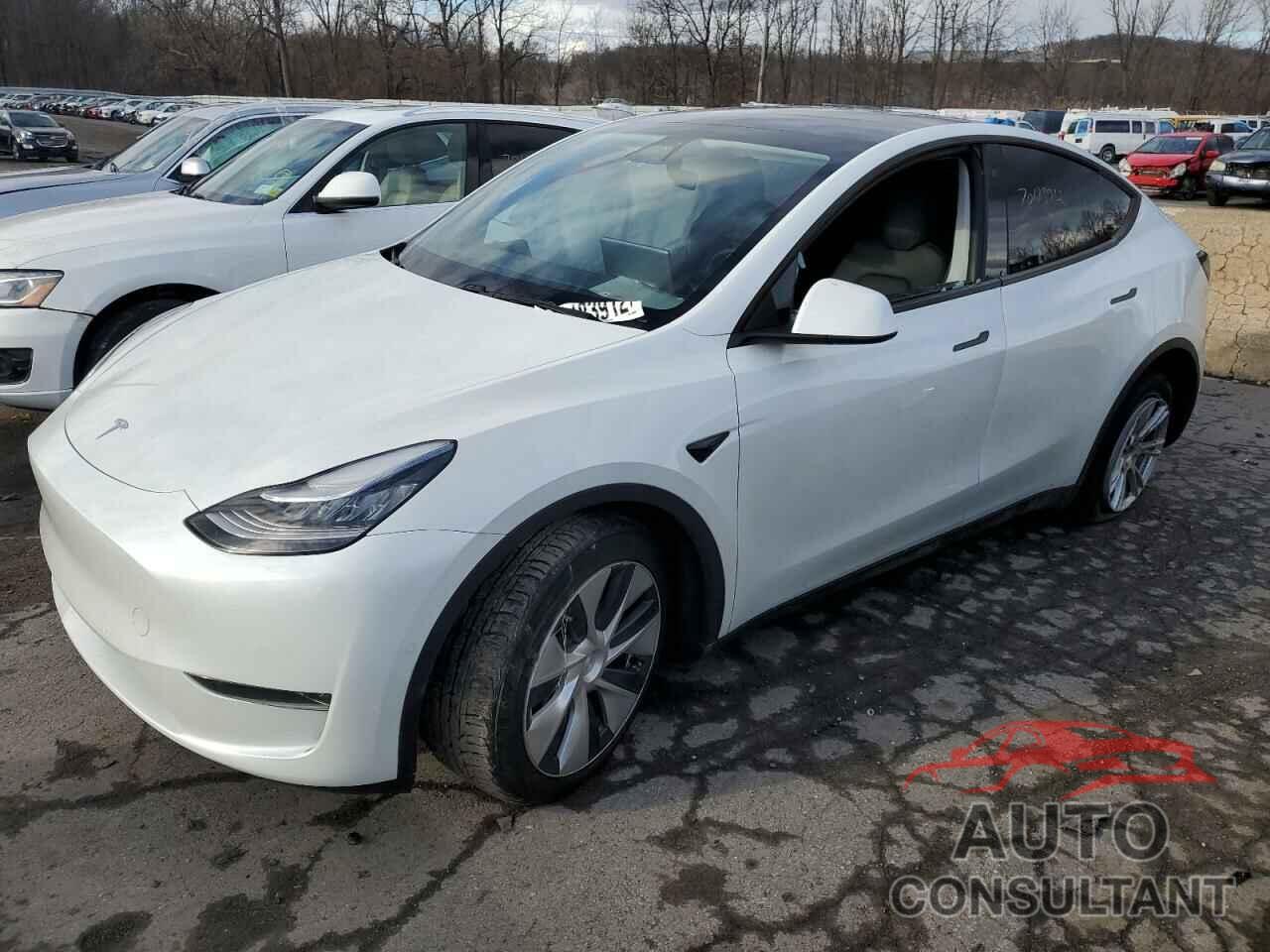 TESLA MODEL Y 2020 - 5YJYGDEEXLF009160