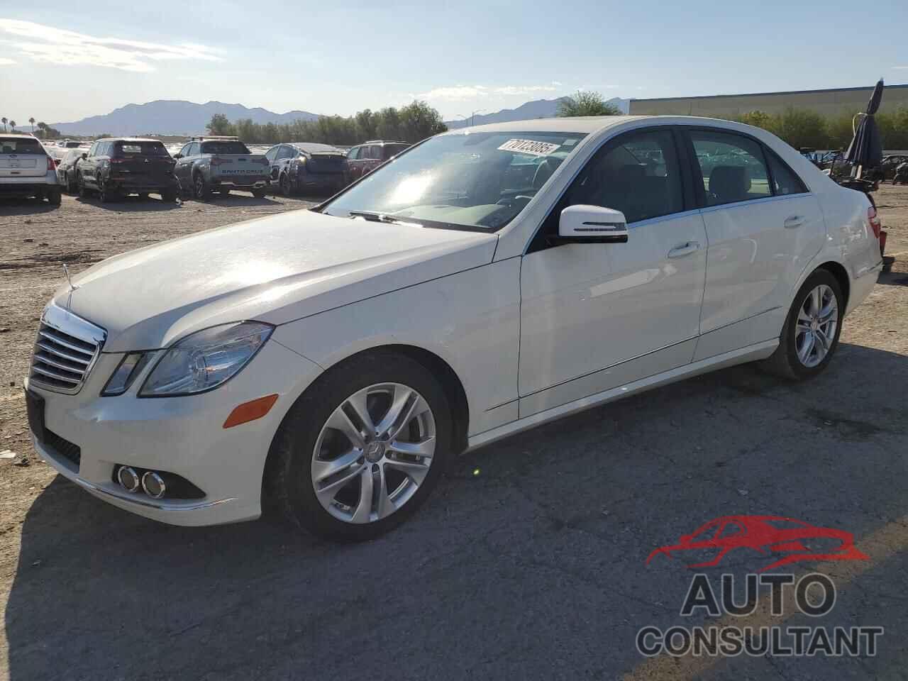MERCEDES-BENZ E-CLASS 2011 - WDDHF5GB4BA321502