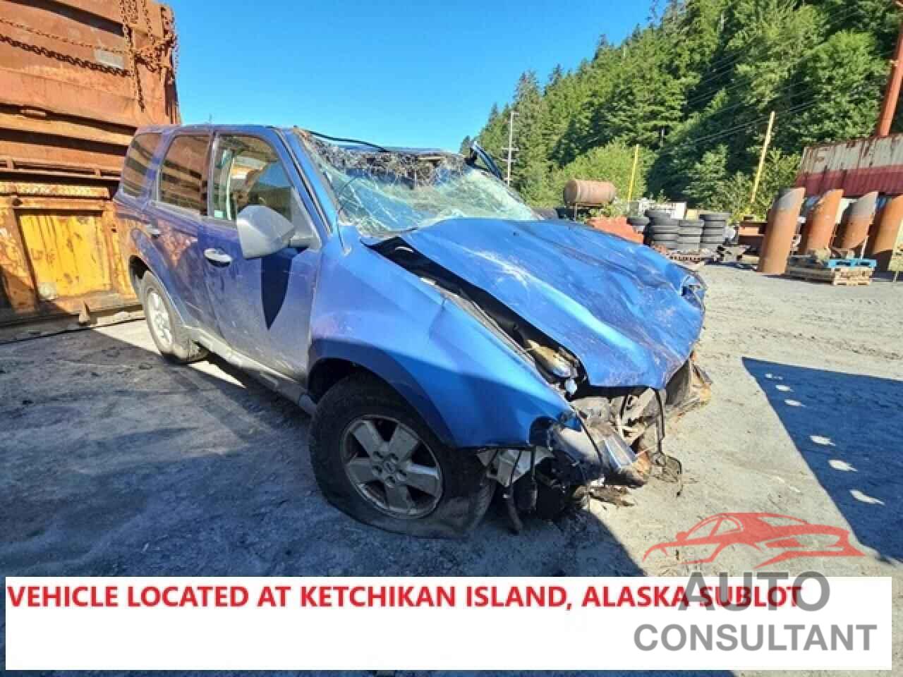FORD ESCAPE 2009 - 1FMCU93G59KC49017