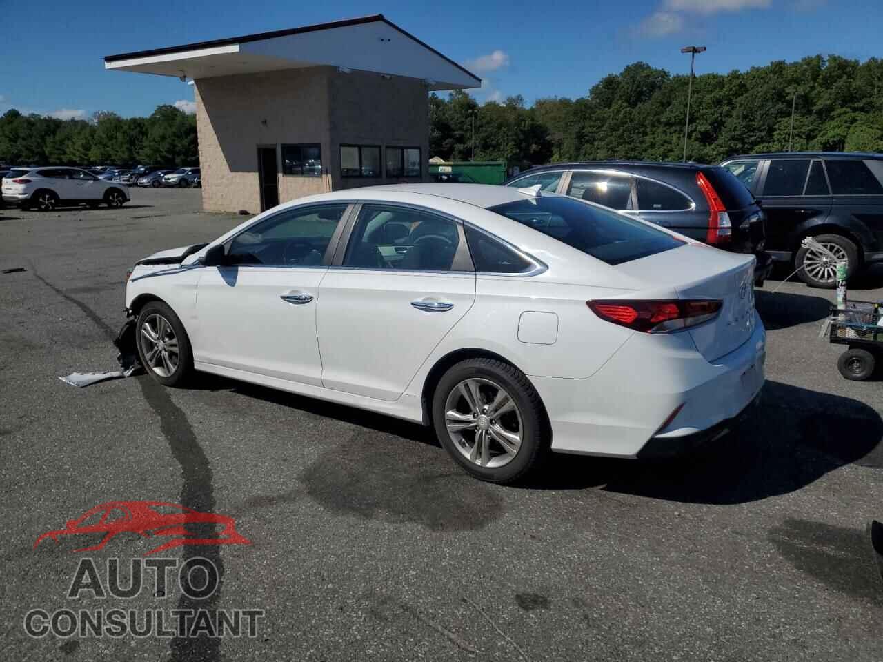 HYUNDAI SONATA 2019 - 5NPE34AF1KH736457