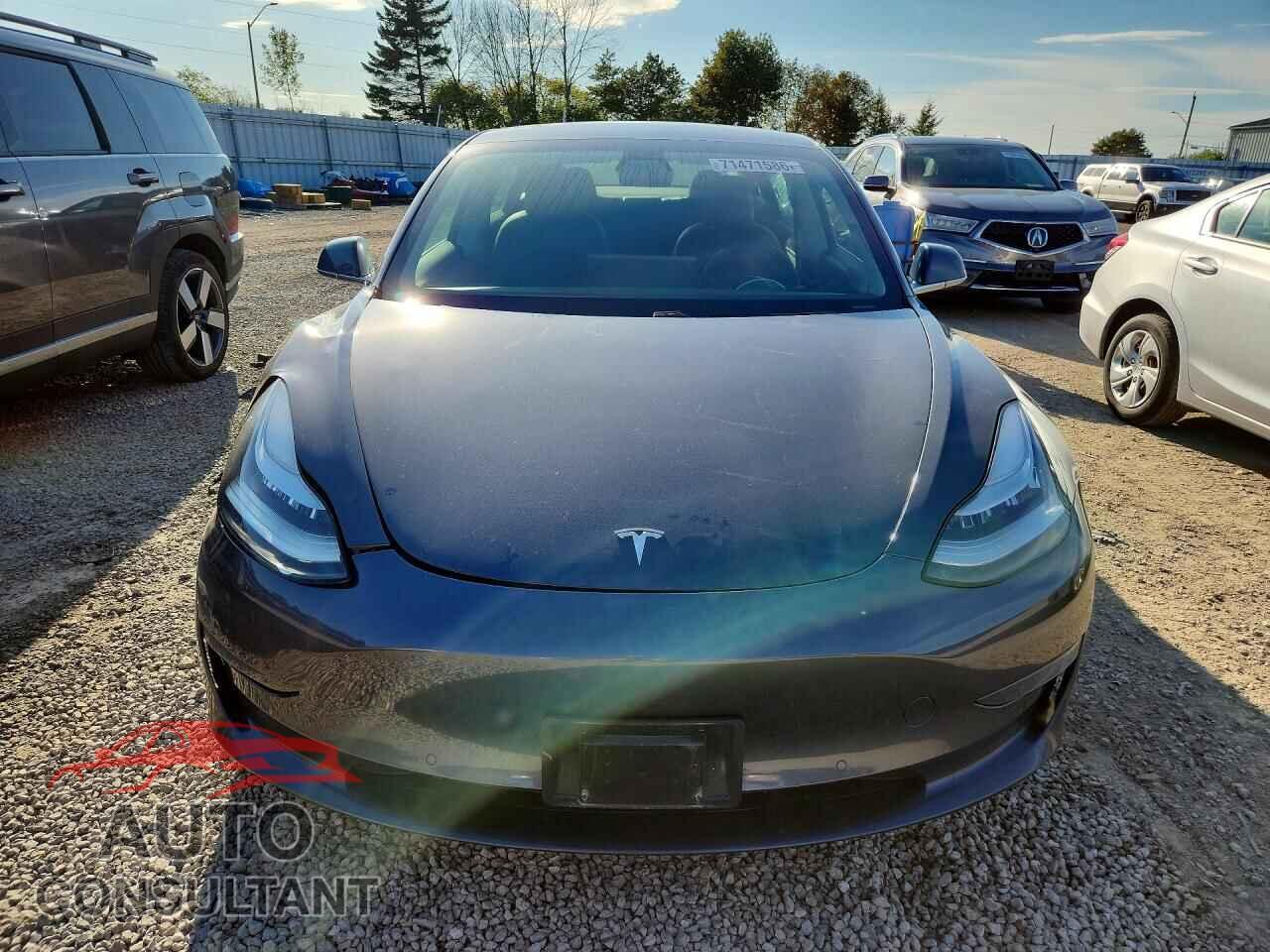 TESLA MODEL 3 2019 - 5YJ3E1EA7KF528872