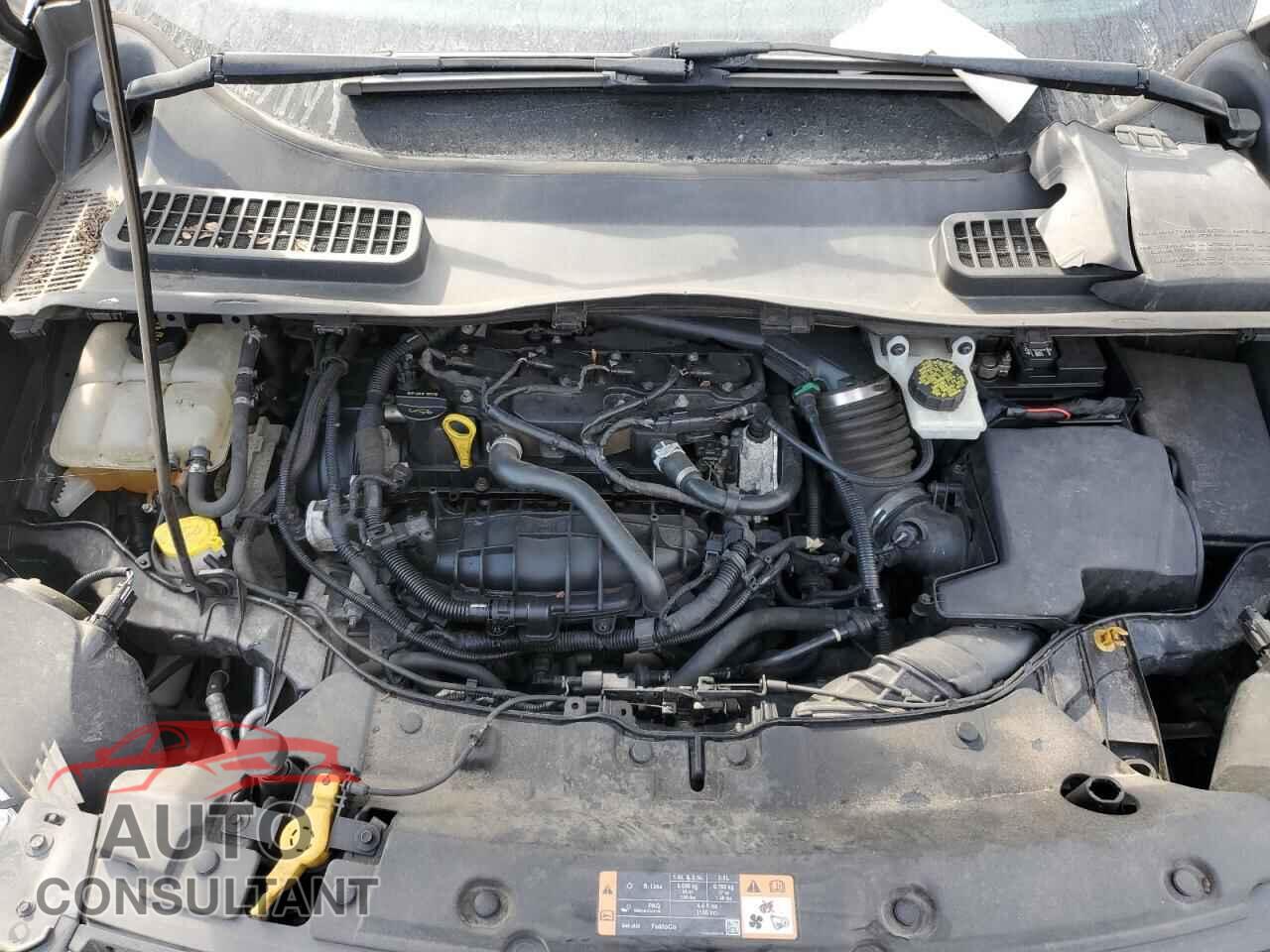 FORD ESCAPE 2014 - 1FMCU0JX4EUB91916